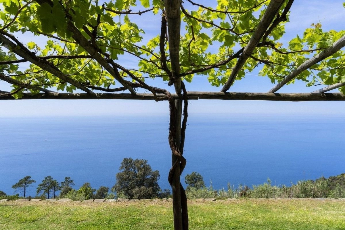 Podere Lovara, Punta Mesco - Foto Davide Marcesini