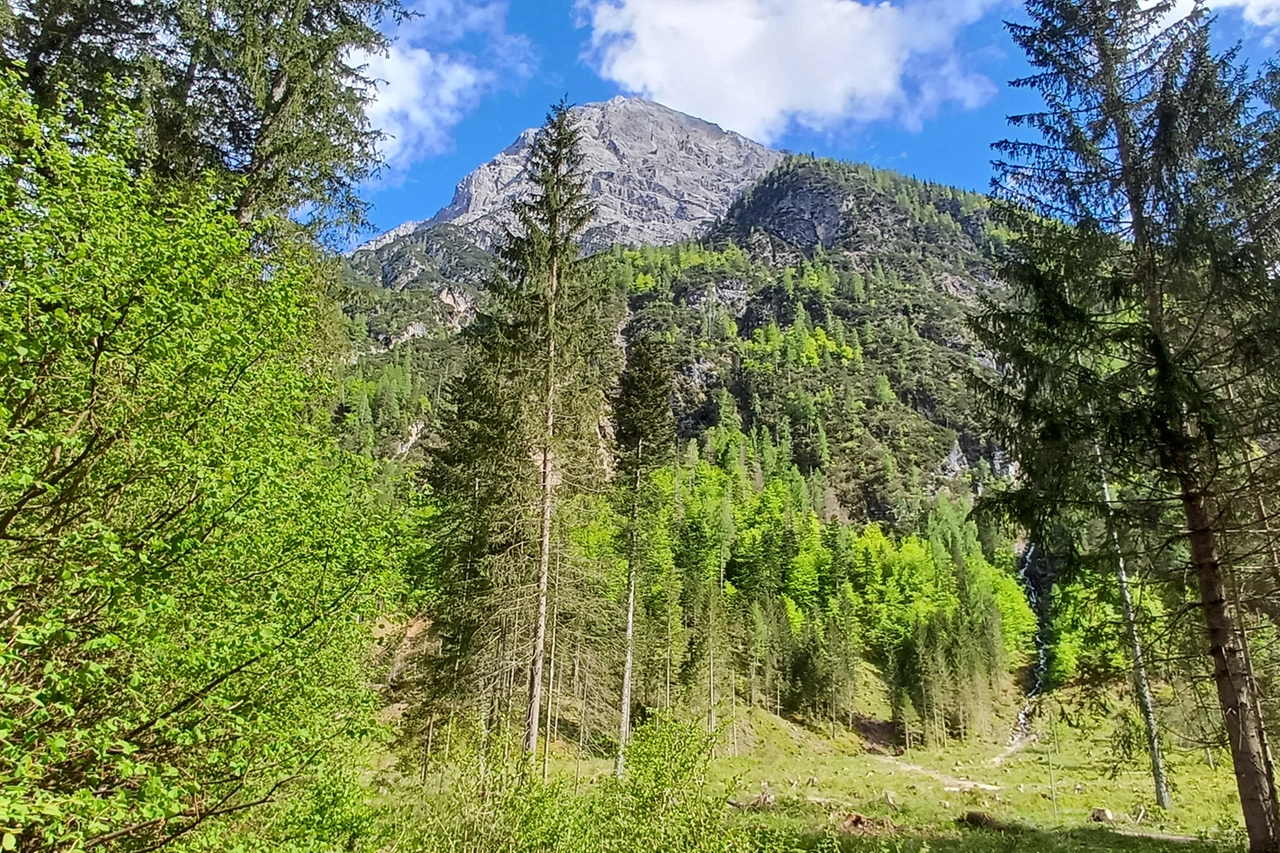 I boschi di Auronzo