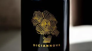 ’Diciannove’ l’extravergine doc. Quando il territorio fa squadra