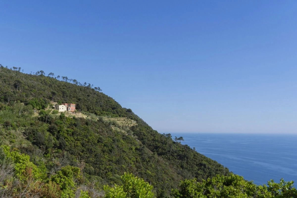 Podere Lovara, Punta Mesco - Foto Davide Marcesini