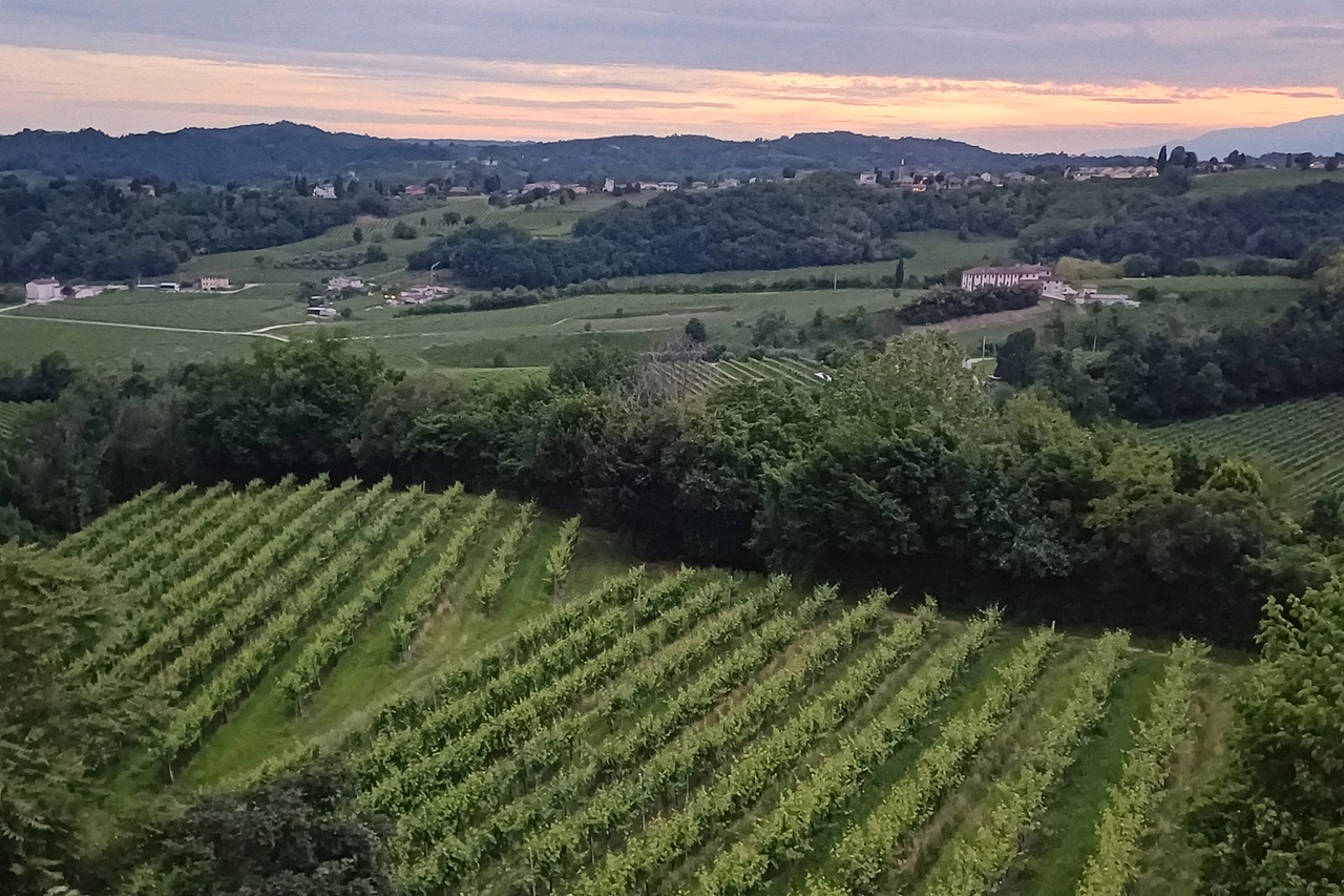 Le colline di Conegliano