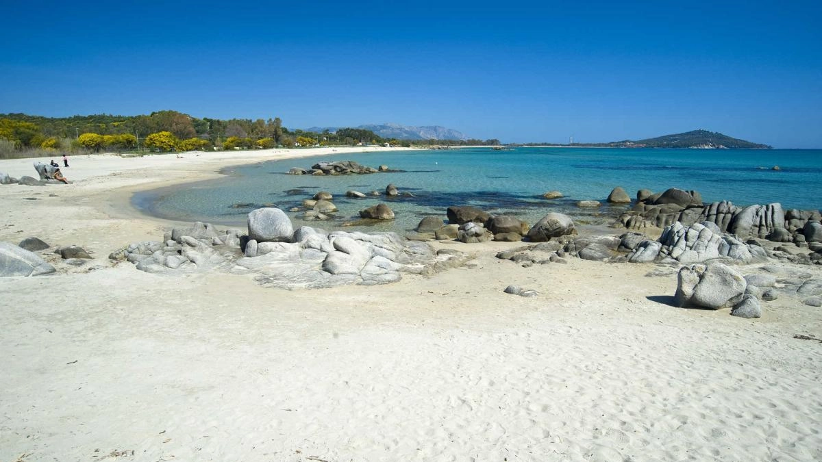 Mare Sardegna: le 7 spiagge più belle dell’Ogliastra, Bandiera Blu 2025